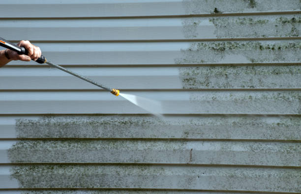 Best Deck Cleaning Services  in South Milwaukee, WI